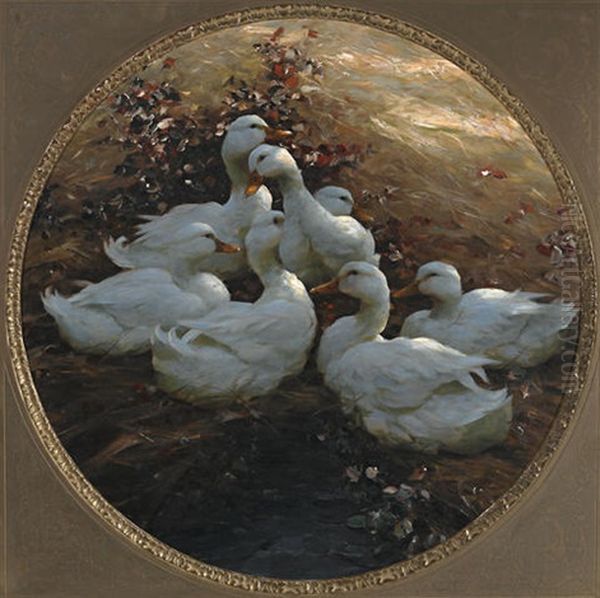 Ducks Resting In The Evening Sun Oil Painting by Alexander Max Koester