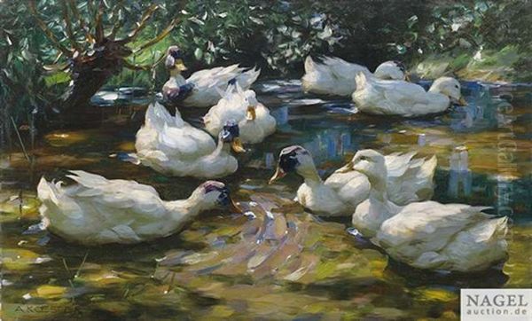 Weise Enten Im Sommerteich Oil Painting by Alexander Max Koester