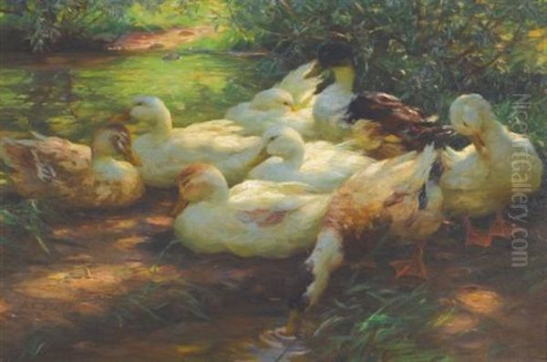 Enten Am Flussufer (ducks On The Riverbank) Oil Painting by Alexander Max Koester