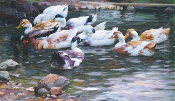 Ententeich (ducks On A Pond) Oil Painting by Alexander Max Koester