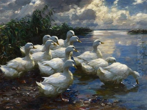 Enten Am Ufer Des Bodensees Oil Painting by Alexander Max Koester