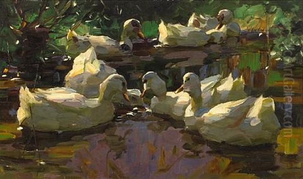 Ducks In A Pond (busy-bodies) Oil Painting by Alexander Max Koester