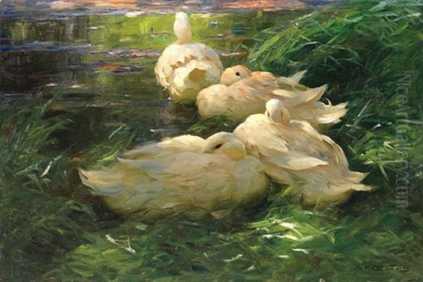 Vier Enten Im Schilfwasser Oil Painting by Alexander Max Koester