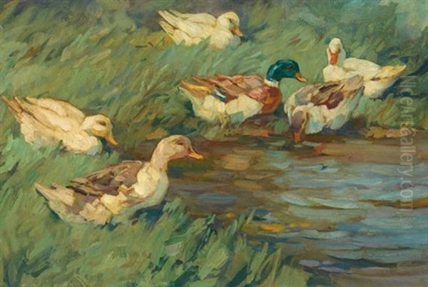 Sechs Enten Am Schilfwasser Oil Painting by Alexander Max Koester