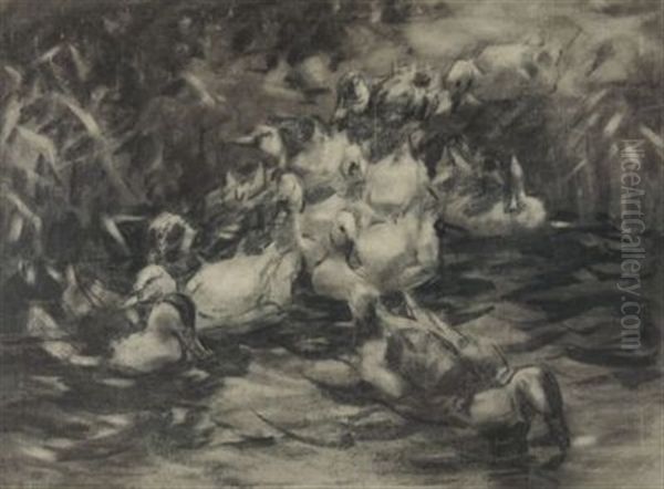 Enten, Ins Wasser Gehend Oil Painting by Alexander Max Koester