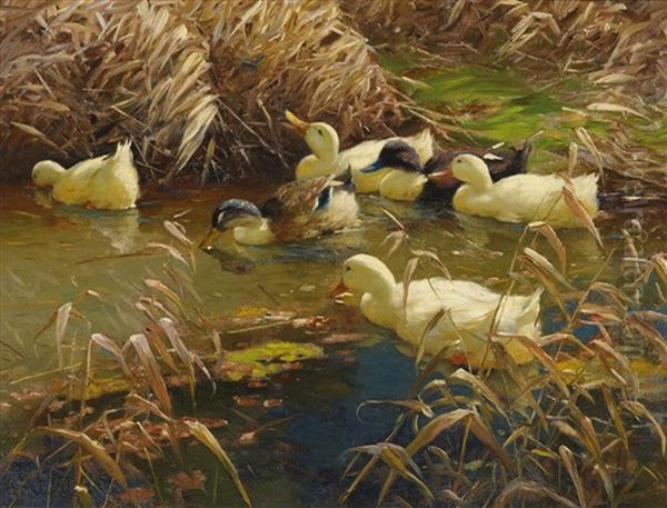 Enten Am Teich Oil Painting by Alexander Max Koester