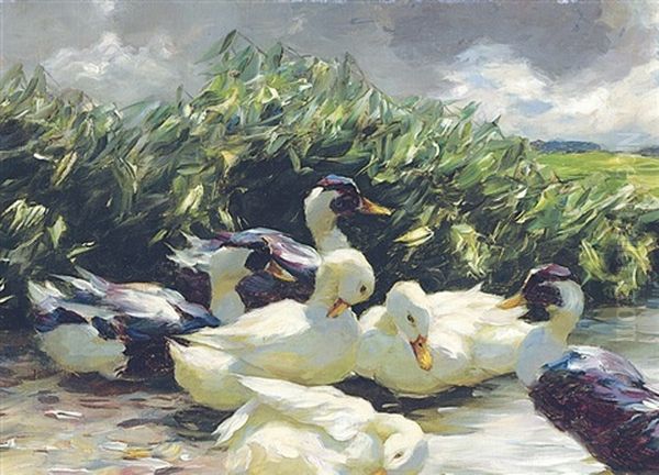 Enten In Grunem Wasser : Ducks On Green Water Oil Painting by Alexander Max Koester