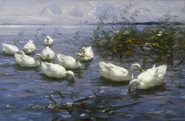 Zehn Weise Enten Im Wasser Oil Painting by Alexander Max Koester