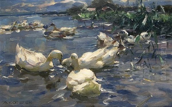 Ducks In The Sunlight Oil Painting by Alexander Max Koester