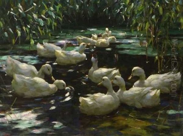 Zwolf Enten Im Schilfteich Oil Painting by Alexander Max Koester