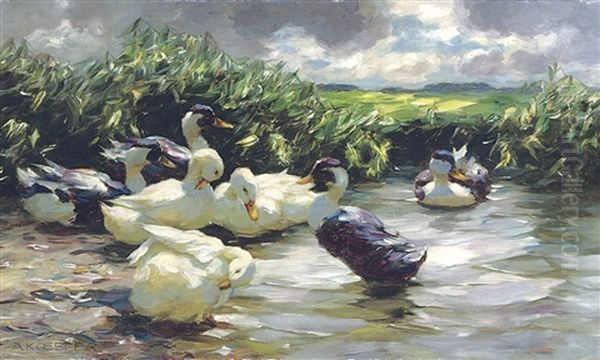 Enten In Grunem Wasser Oil Painting by Alexander Max Koester