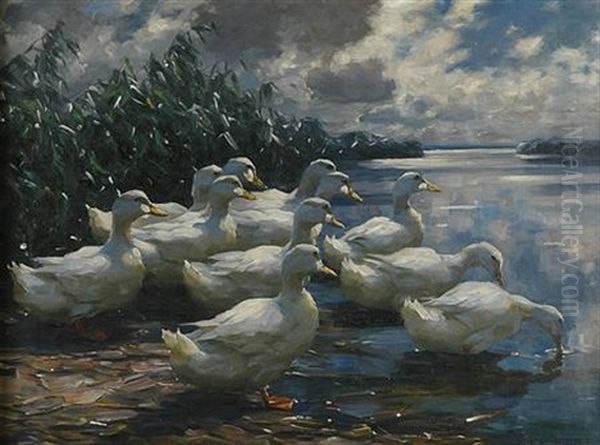 Ducks In Early Morning Sun Oil Painting by Alexander Max Koester