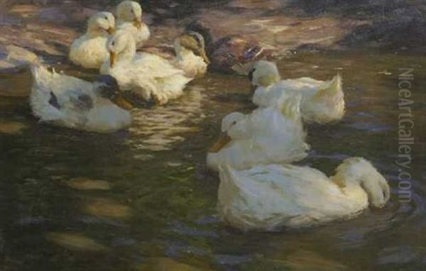 Neun Enten Im Wasser Oil Painting by Alexander Max Koester