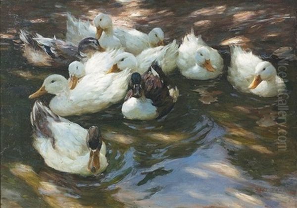 Enten In Morgensonne Oil Painting by Alexander Max Koester