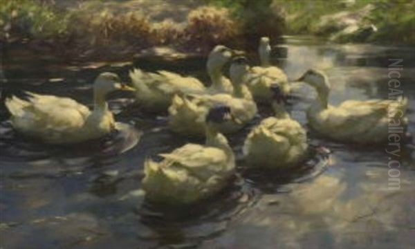 Sieben Weise Enten Im Wasser Oil Painting by Alexander Max Koester