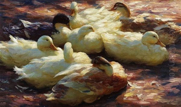 Grose Ruhende Enten Oil Painting by Alexander Max Koester