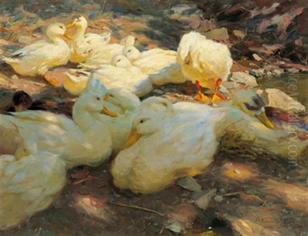 Enten In Der Abendsonne (in Der Mittagssonne) Oil Painting by Alexander Max Koester