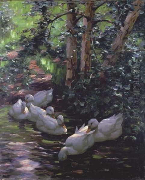 Sechs Enten Im Wasser - Six Ducks In The Water Oil Painting by Alexander Max Koester