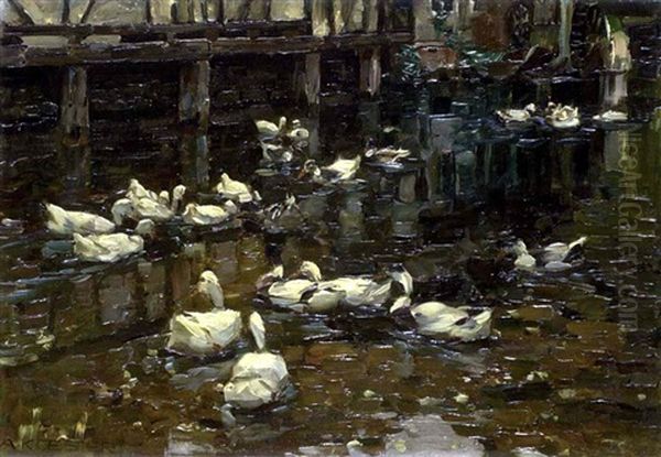 Enten Am Wehr Oil Painting by Alexander Max Koester