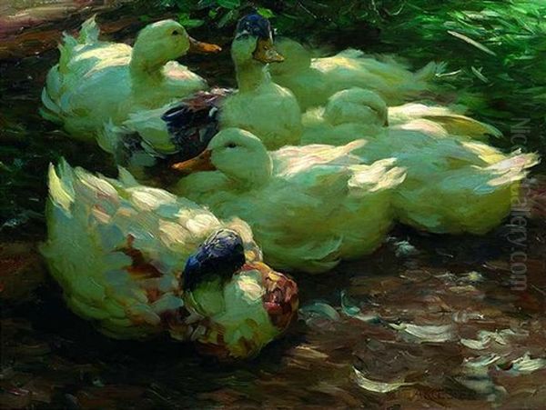 Ruhende Enten Oil Painting by Alexander Max Koester