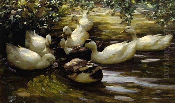 Enten Im Wasser Unter Birken Oil Painting by Alexander Max Koester