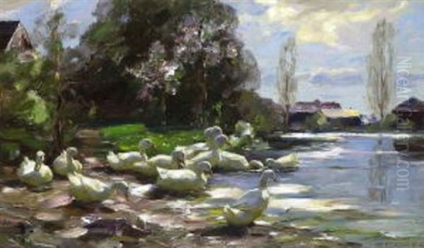 Enten Am Fruhlingshaften Seeufer Oil Painting by Alexander Max Koester