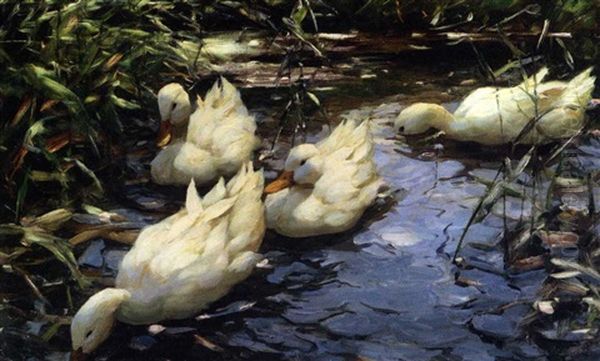 Enten Mit Schilf Oil Painting by Alexander Max Koester