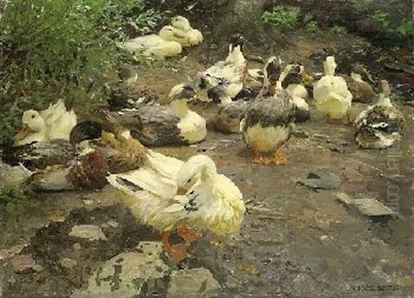 Enten Am Lagerplatz Oil Painting by Alexander Max Koester