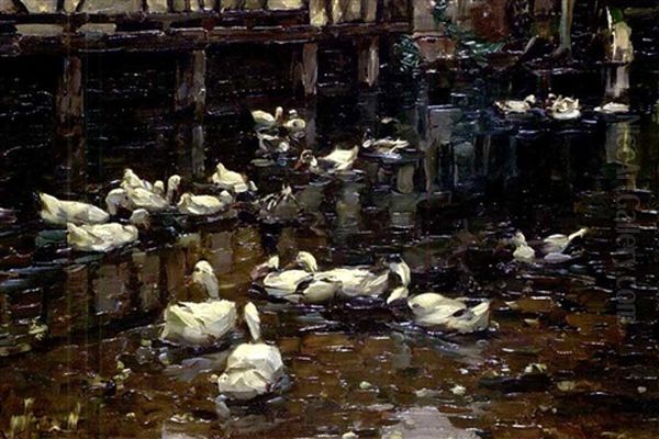 Enten Am Wehr Oil Painting by Alexander Max Koester