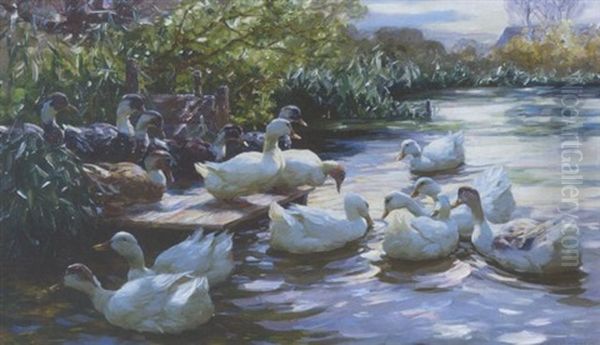 Enten Am Steg Oil Painting by Alexander Max Koester