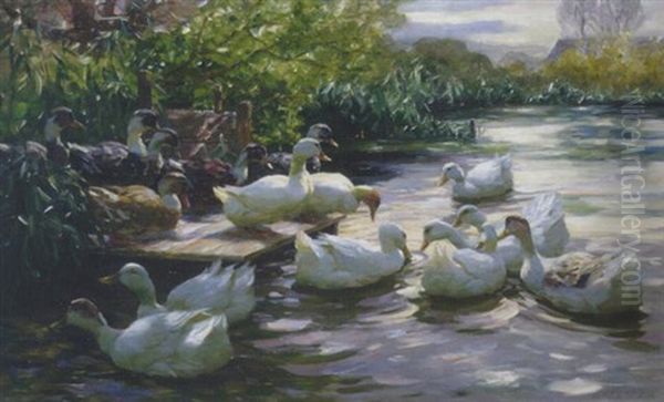 Enten Am Steg Oil Painting by Alexander Max Koester