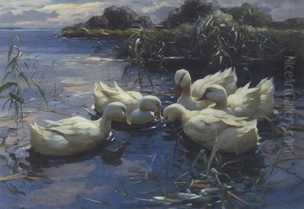 Funf Weise Enten Im Schlifwasser Oil Painting by Alexander Max Koester