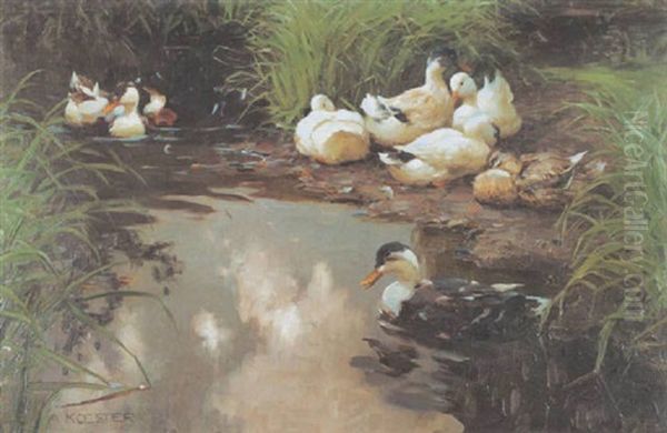 Enten Auf Einem Teich Oil Painting by Alexander Max Koester