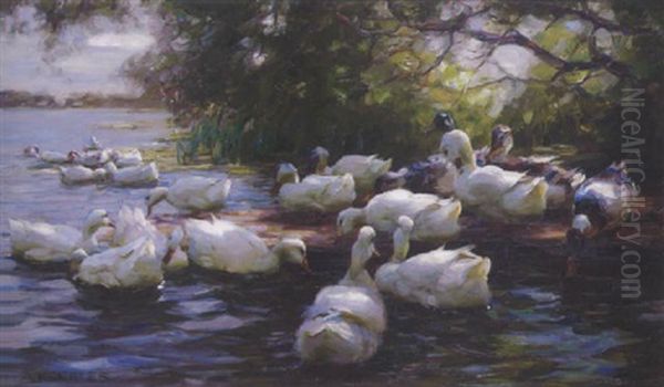 Enten Am Ufer Oil Painting by Alexander Max Koester