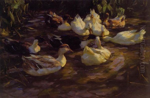 Enten Im Teich (enten Am Bach) Oil Painting by Alexander Max Koester