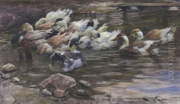 Enten Im Weiher Mit Steinen Oil Painting by Alexander Max Koester