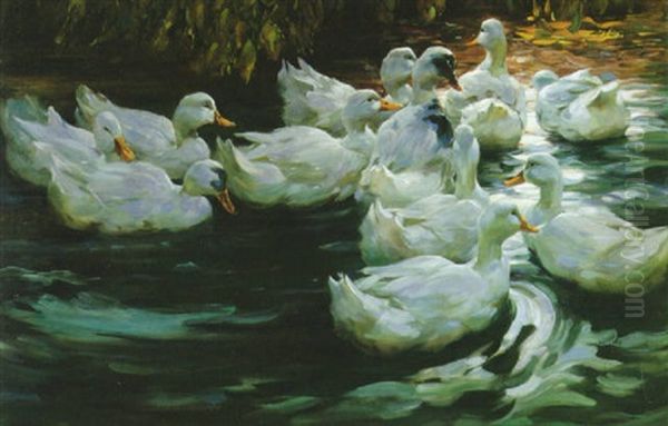 Heimwarts, Elf Weisse Enten Auf Dem Wasser Oil Painting by Alexander Max Koester