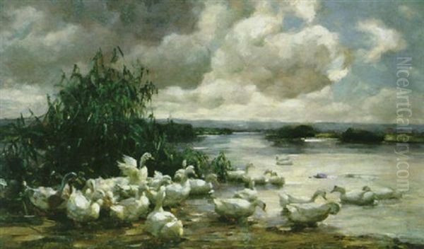 Enten Am Ufer Vor Weiter Seenlandschaft Oil Painting by Alexander Max Koester