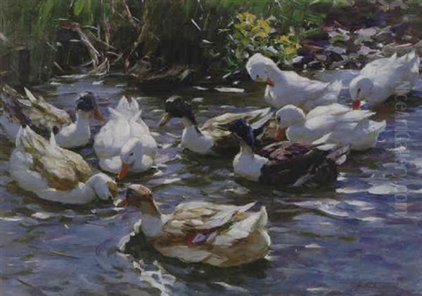 Nine Ducks In The Morning Light Oil Painting by Alexander Max Koester