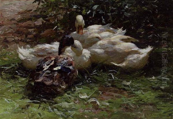 Ducks Resting In The Grass Oil Painting by Alexander Max Koester