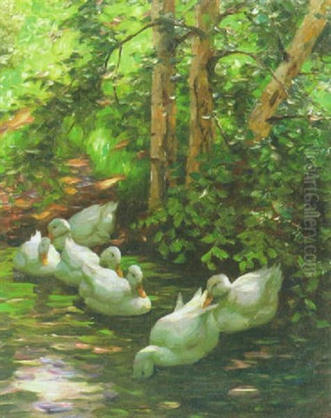 Enten In Der Morgensonne Oil Painting by Alexander Max Koester