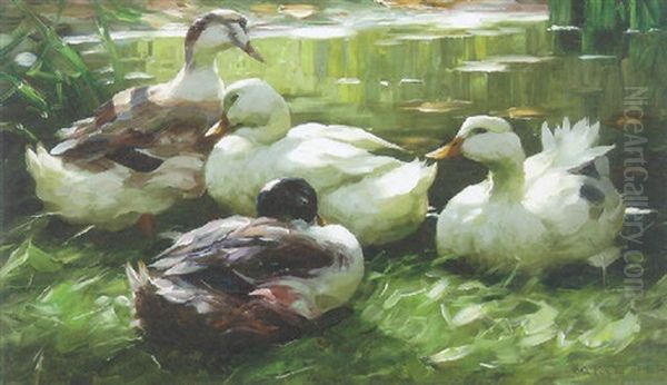 Ducks By A Quiet Pool Oil Painting by Alexander Max Koester