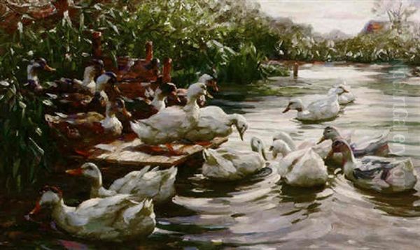 Ducks On A Sunny Morning Oil Painting by Alexander Max Koester