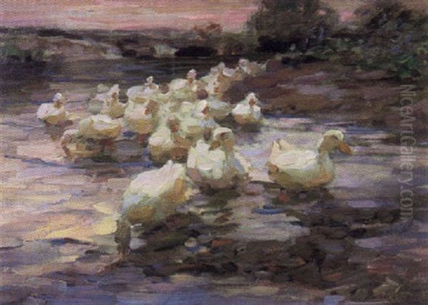 Enten In See Gehend - Abendrot Oil Painting by Alexander Max Koester