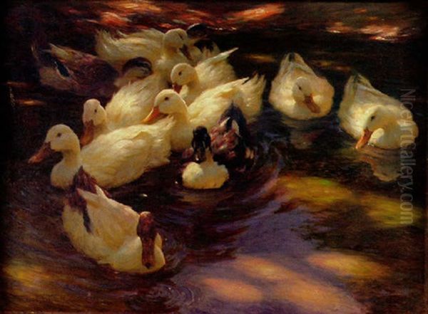 Enten In Der Morgensonne Oil Painting by Alexander Max Koester