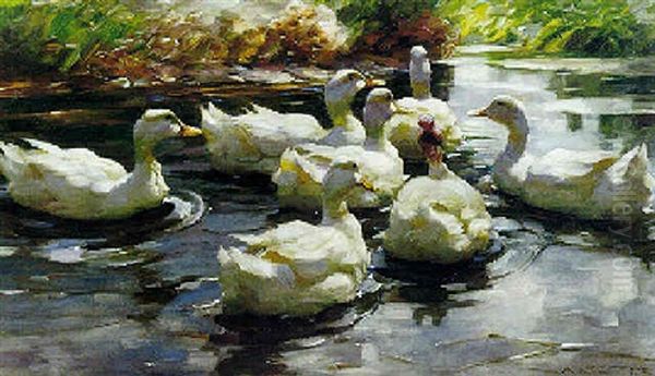 Ducks Paddling by Alexander Max Koester