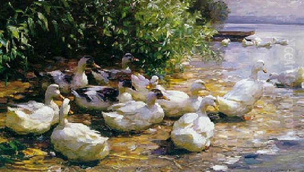 Ducks Swimming At The Edge Of A Lake Oil Painting by Alexander Max Koester