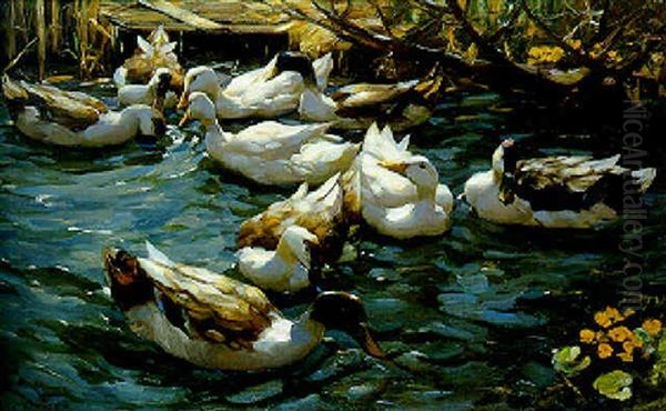 Enten In Schilfwasser Unter Asten Oil Painting by Alexander Max Koester