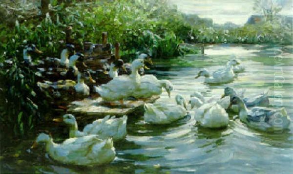 Ducks On A Sunny Morning Oil Painting by Alexander Max Koester