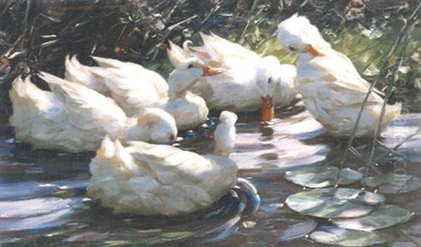 Funf Weise Enten Auf Dem Wasser Oil Painting by Alexander Max Koester